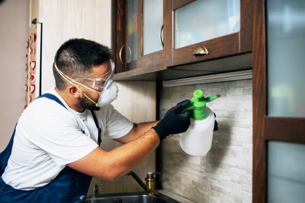 Best Termite Control Services  in Sumner, WA