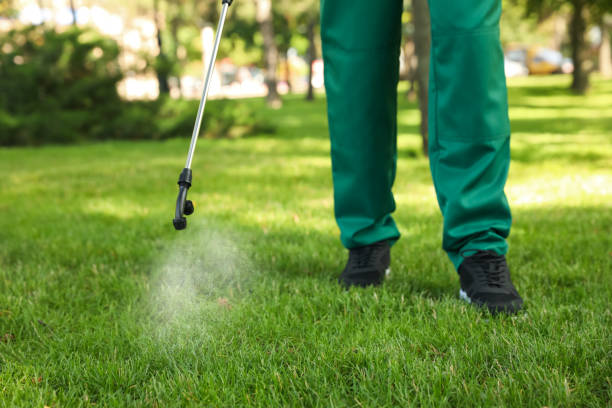 Flea Control Services in Sumner, WA